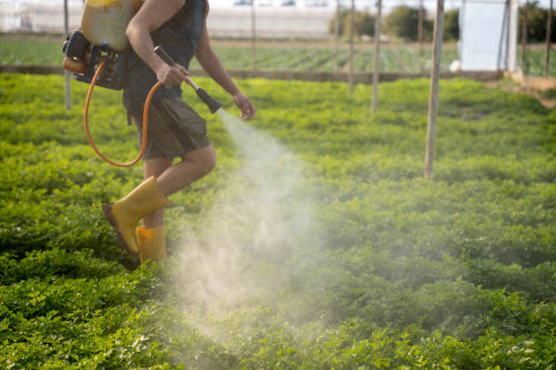 Best Best Pest Control Companies  in Grantley, PA