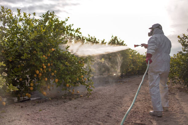 Best Pest Control Treatment  in Grantley, PA