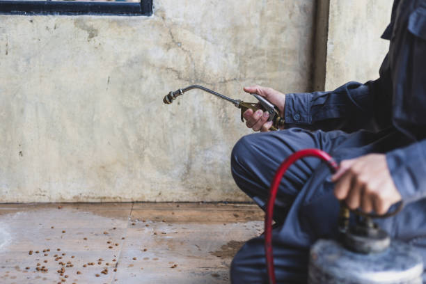 Best Affordable Pest Control Services  in Grantley, PA